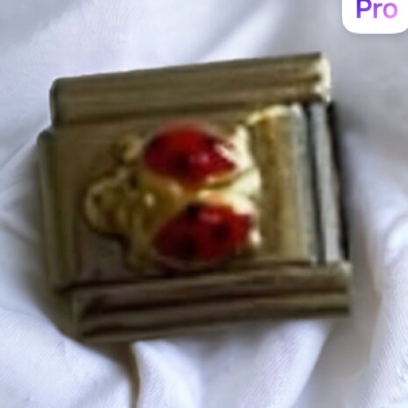 ZOPPINI (nomination) 2/$25 LADYBUG bracelet link - Picture 1 of 6